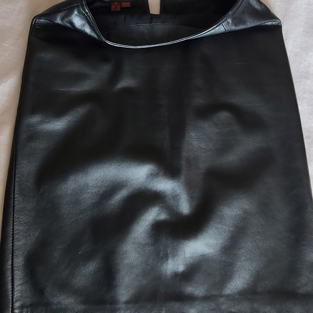Danier Leather skirt